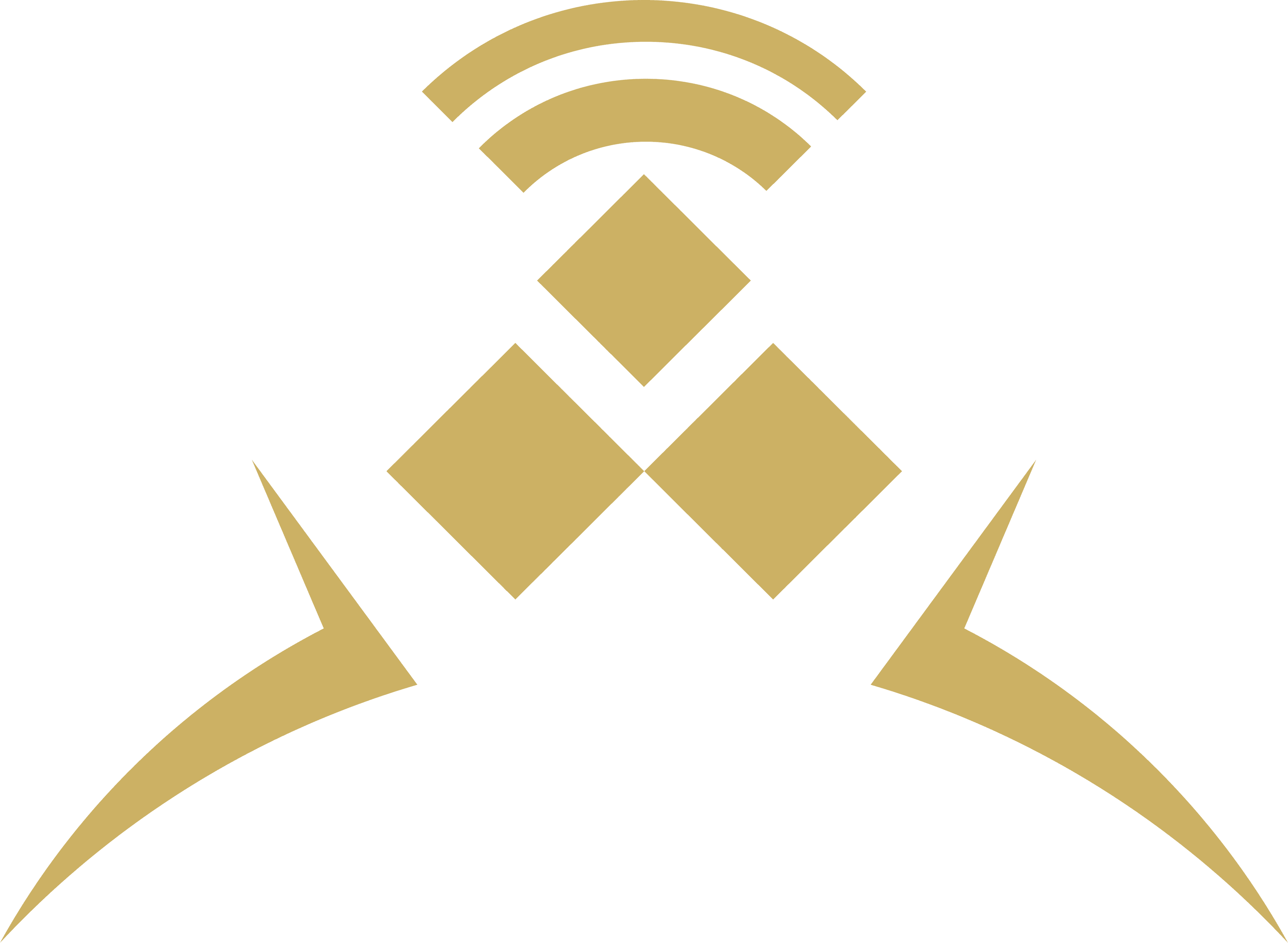 website logo